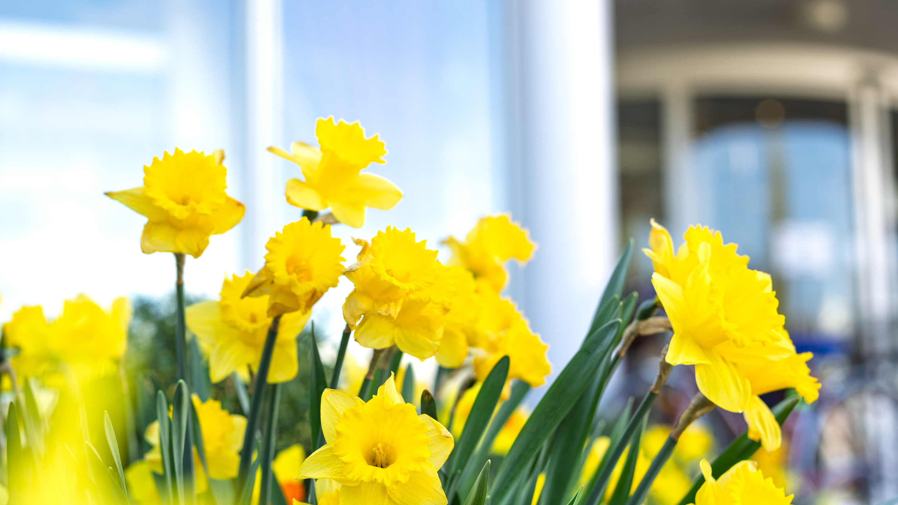 Leben bei HPPA Leben bei HPPA